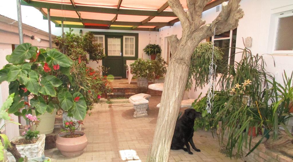 Van Rhyn Guest House Vanrhynsdorp Εξωτερικό φωτογραφία